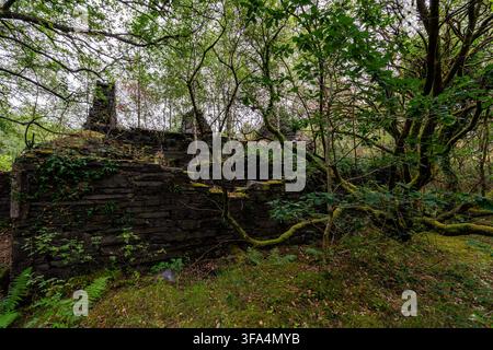 Verfallene Schieferstruktur, bedeckt mit Moos und Farnen im Dorothea-Steinbruch Stockfoto