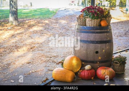 Helle Herbst-Stillleben mit einem rustikalen Holzfass, Kürbissen und einem farbenfrohen Arrangement aus Chrysanthemen, das eine warme und einladende Herbstszene schafft Stockfoto
