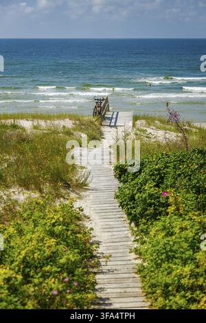Eine vertikale Aufnahme eines hölzernen Plankenweges, der sich durch hohes Küstengras und dichtes Gestrüpp schlängelt und zu einem sandigen Strand an der Ostsee führt, wo sanfte Wellen Stockfoto