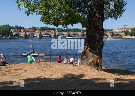 Stadt Prag in Tschechien (Tschechische Republik), junge Leute entspannen sich im Park auf der Insel Strelecky Ostrov mit Blick auf die Karlsbrücke an der Moldau. Stockfoto