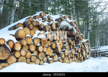 Holzstämme, die in den Bergen unter dem Schnee geschnitten und gestapelt sind Stockfoto