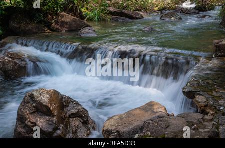 Kleiner kaskadierender Gebirgsbach-Wasserfall, der über nasse Felsen in einem üppigen grünen Wald fließt Stockfoto