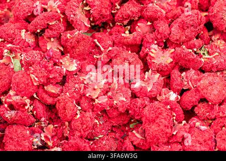 Lebendige getrocknete Granatapfelblüten, die als aromatischer Kräuterthee-Inhaltsstoff präsentiert werden Stockfoto