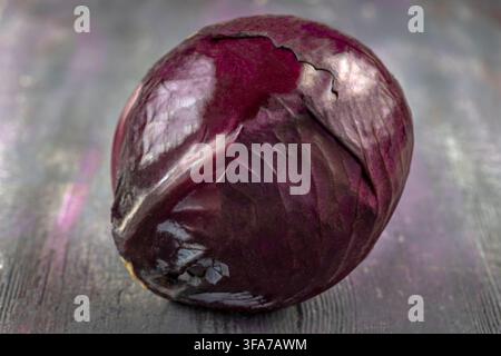 Ein Rotkohl (Brassica oleracea var. capitata f. rubra) ist auf einer dunklen Holzoberfläche positioniert. Stockfoto