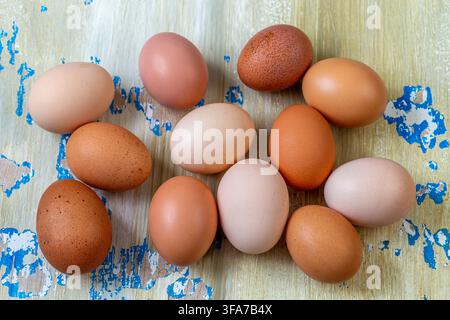 Zwölf Hühner Eier in verschiedenen Braun- und Beigetönen liegen auf einer verwitterten Holzoberfläche mit abblätternder blau-weißer Farbe. Stockfoto
