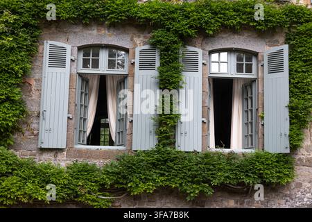 Eine steinerne Gebäudefassade mit zwei Fenstern, die jeweils mit hellblauen Fensterläden geschmückt sind, teilweise von grünem Efeu bedeckt. Stockfoto