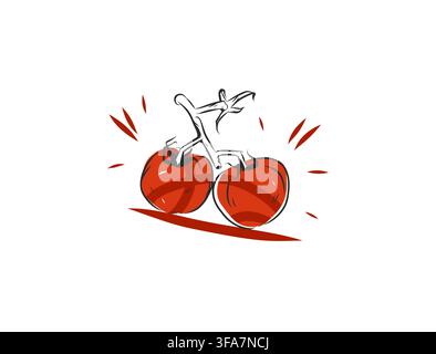 Handgezeichnete Gemüse-Line-Art-Vektor-Sammlung, botanische Umrissillustrationen von frischem Gemüse, minimalistische Tomatenelemente, dekoratives Essen Stock Vektor