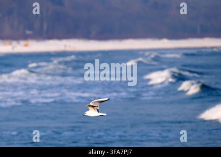 Mächtige Meereswellen schlagen mit schaumigen weißen Kronen gegen das tiefblaue Meer und rufen die rohe, ungezähmte Energie der Natur hervor. Ostsee. Sopot. Polen. Stockfoto