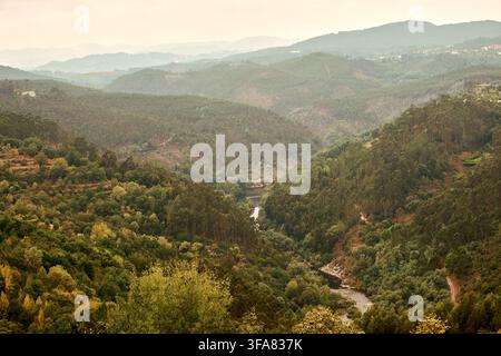 Taltal fließt durch dichten grünen Wald und ferne Hügel Stockfoto