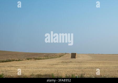 Eine minimalistische Weitwinkel-Landschaft mit einem einsamen Stapel rechteckiger Strohballen in einem weiten, goldenen Getreidefeld. Ferne Windräder Stockfoto