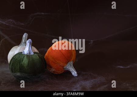 Ein Trio aus samtigen Kürbissen in grünen gerippten, orangefarbenen und cremefarbenen Tönen mit silbergrauen Stielen, arrangiert auf einer dunklen Oberfläche, die mit feinem Spinnennetz bedeckt ist Stockfoto