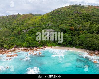 Ein abgelegener Strand, verborgen unter einem dichten Baumdach, mit azurblauen Gewässern, die sanft an das unberührte Ufer plätschern. Anse Lazio, Seychellen. Stockfoto