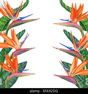 Vertikaler Blumenrahmen von Strelitzia. Vogel-Paradies-Blumen, tropische Bordüre. Aquarellillustration von Strelitzia. Handgezeichnete Illustration von Stockfoto