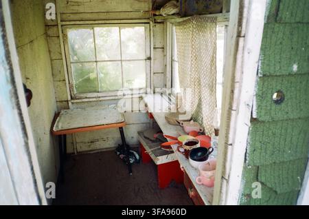 Abgenutztes Holzschuppeninnere mit abblätternder weißer Farbe, überfüllte Regale mit bunten Vintage-Tassen und Küchengeräten, Spitzengardine und natürlichem Licht Stockfoto