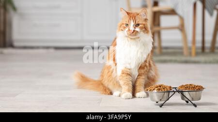 Haustierpflege und Tierernährung, flauschige gingerfarbene Katze sitzt neben Futternäpfen mit trockenem Trockenfutter im Innenraum Stockfoto