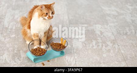 Haustiernahrung und gesundes Essen für Katzen, Ingwerkatze mit zwei Schüsseln Trockenfutter und Leckerlis auf einem hellen Boden Stockfoto