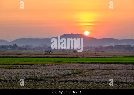 farbenfroher lebhafter Sonnenuntergangshimmel aus der Sicht des Straßenrandes eines beschnittenen Reisfeldes mit orangefarbener runder Sonne an der Spitze des Berges im Hintergrund Stockfoto