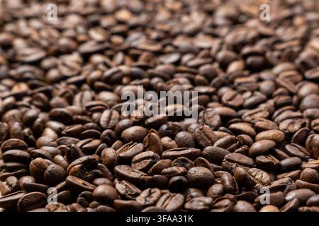 Nahaufnahme mit selektivem Fokus auf gerösteten Kaffeebohnen, die in einer dichten Schicht ausgebreitet sind. Kaffeerösten, Espresso-Zubereitung, Café-Kultur-Konzept. Stockfoto