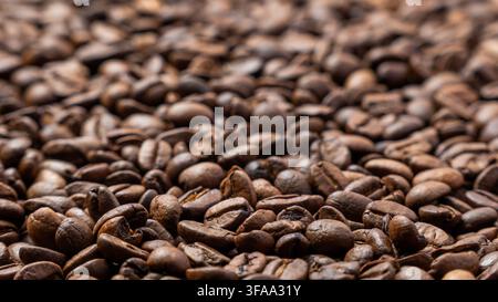 Nahaufnahme mit selektivem Fokus auf gerösteten Kaffeebohnen, die in einer dichten Schicht ausgebreitet sind. Kaffeerösten, Espresso-Zubereitung, Café-Kultur-Konzept. Stockfoto