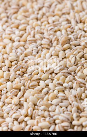 Organische trockene weiße Gerstensamen zum Kochen bereit Stockfoto