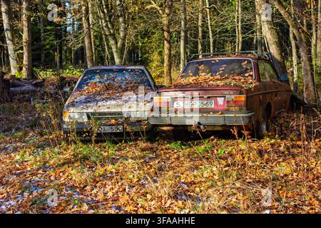Verlassene Autos, die mit Herbstblättern bedeckt sind, in einem Wald Stockfoto