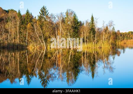 Waldsee mit Spiegelungen und Herbstfarben Stockfoto