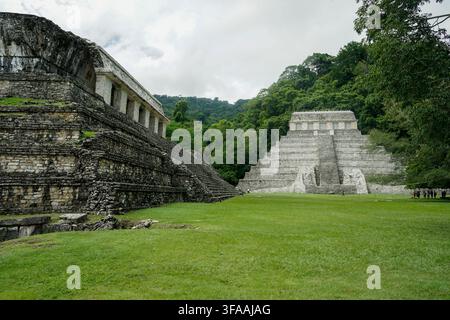 Tempel der Inschriften und Maya-Ruinen im Dschungel von Palenque, Chiapas, Mexiko. Stockfoto