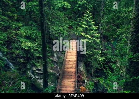 Blick auf eine hölzerne Fußgängerbrücke, die sich durch den üppigen, dichten immergrünen Wald des Capilano River Regional Parks in North Vancouver, British Columbia, Kanada schlängelt Stockfoto