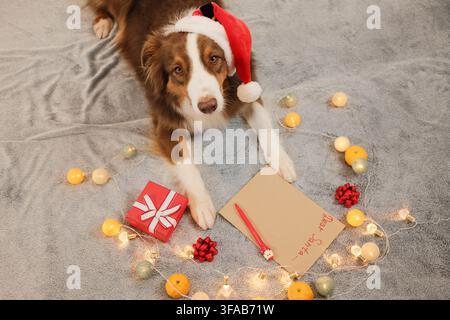 Australian Shepherd mit einem Weihnachtsmannhut ruht neben einem Brief an den Weihnachtsmann mit Geschenken und Lichtern. Warme festliche Atmosphäre drückt die Vorfreude auf die Feiertage aus. Stockfoto