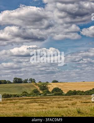 Blick über die Landschaft von Sussex Stockfoto