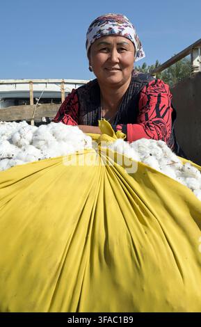 KIRGISISTAN, Bazar-Korgon bei Jalalabad, Landwirtschafts- und Dienstleistungsgenossenschaft ACSC Bio-Farmer, Projekt Bio- und Fairtrade-Baumwollfarm, Frauen bei Ernte / KIRGISTAN, Bazar Korgon, Projekt Fairtrade und Bio-Baumwolle Anbau ACSC Bio-Farmer, Frauen bei Ernte Stockfoto