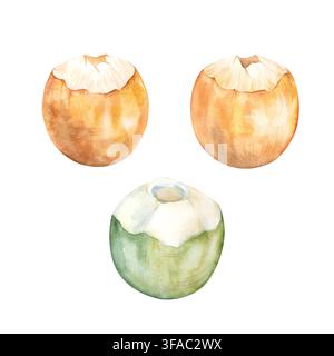 Ein Satz Aquarellillustrationen von grünen und gelben tropischen Kokosnüssen. Ein kaltes Getränk für Reisen, den Strand oder den Urlaub. Ein Kokoswasser-Cocktail für Stockfoto
