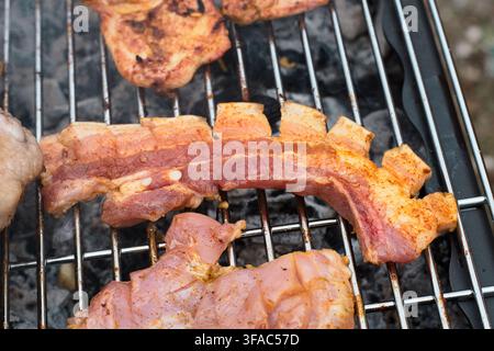 Nahaufnahme einer gewürzten Schweinebauchscheibe und Hühnerstücken, die über heißen Kohlen auf einem Metallgrillrost braten, um frisches, saftiges Fleisch für einen Tas zuzubereiten Stockfoto