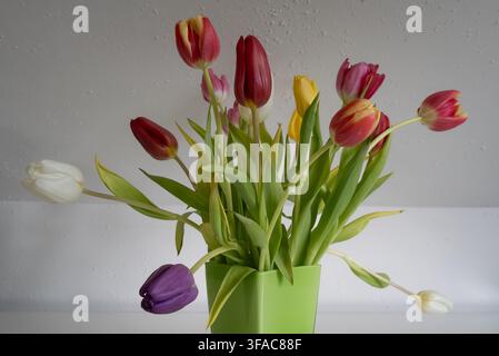 Weiche natürliche Beleuchtung Blumenstillleben mit bunten Tulpen in einer grünen Vase arrangiert mit minimalistischem Stil Stockfoto