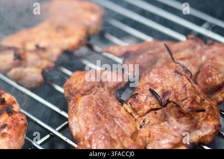Köstliche und saftige marinierte Schweinehalssteaks, die langsam über Holzkohle auf einem Metall-Grillrost garen, während während eines Picknicks duftender Rauch aufsteigt Stockfoto