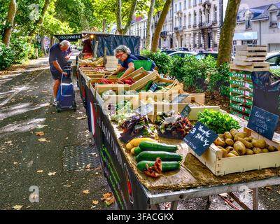 Frischer Bio-Gemüsestand mit Kunde und Besitzer am baumgesäumten Boulevard Heurteloup, zentral in Tours, Indre-et-Loire (37), Frankreich. Stockfoto