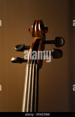 Vertikale Nahaufnahme eines klassischen Holzinstruments, das seine geschnitzte Schnecke, Stimmwirbel, Wirbelkasten und den oberen Hals unter warmem, kontrastarmem Studiolicht zeigt. Stockfoto