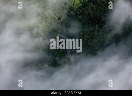 Luftaufnahme einer sich windenden Straße, die durch den dichten, nebligen tropischen Regenwald von Lamandau Regency, Zentralkalimantan, Indonesien, schneidet. Stockfoto