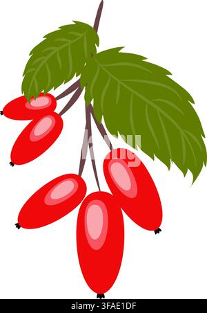 Hagebuttenzweig mit Blättern, natürliches gesundes Bio-Nahrungsprodukt, Hagebutte oder Wildrose. Doodle-Cartoon-flache trendige Illustration handgezeichnet isoliert Stockfoto