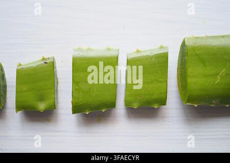 Geschnittene Aloe-Vera-Blätter, die auf einer weißen Oberfläche angeordnet sind Stockfoto