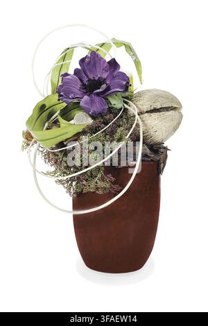 abstrakte Komposition aus Kokosnuss, Blume, Felsen und Reben Anordnung Herzstück in Vase isoliert auf weißem Hintergrund Stockfoto