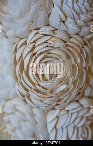 Nahaufnahme einer dekorativen weißen Muschelanordnung, die ein Blumenmuster auf einer strukturierten Wand bildet. Küsten-Innendesign, maritim inspirierte Dekoration und Stockfoto