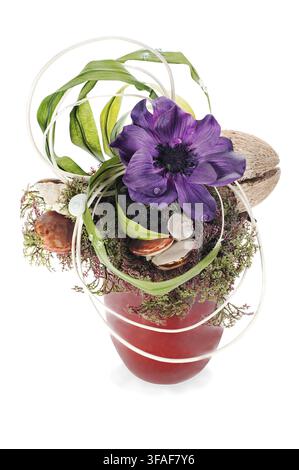 abstrakte Komposition aus Kokosnuss, Blume, Felsen und Reben Anordnung Herzstück in Vase isoliert auf weißem Hintergrund Stockfoto