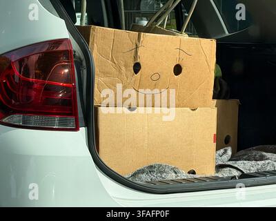 Kartons mit gezeichneten Gesichtern im Kofferraum eines weißen Fahrzeugs, eine verspielte und kreative Lagerlösung zum Transport von Gegenständen Stockfoto