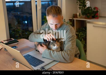 Haustierbesitzer, der während eines gemütlichen Arbeitstags zu Hause am Laptop sitzt und durch eine Katze vom Homeoffice-Arbeiten abgelenkt wird Stockfoto