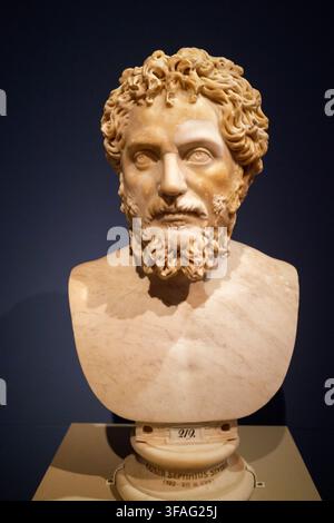 Deutschland / Italien: Septimius Severus (145-211 n. Chr.), 21. römischer Kaiser, ca. 200-211 n. Chr. Altes Museum, Museumsinsel, Berlin. Septimius Severus wurde in der römischen Provinz Africa geboren und stieg während der Regierungszeiten von Mark Aurel und Commodus durch verschiedene Ämter auf. Er war Statthalter von Pannonia Superior, als ihn die Nachricht von der Ermordung Pertinax‘ und der Thronbesteigung Didius Julianus‘ im Jahr 193 n. Chr. erreichte. Als Reaktion auf Julianus‘ umstrittene Thronbesteigung erklärten sich viele Rivalen zu Kaisern, wobei Severus einer von ihnen war. Severus ließ Julianus hinrichten und kämpfte dann gegen seine Rivalen um die Kontrolle. Stockfoto