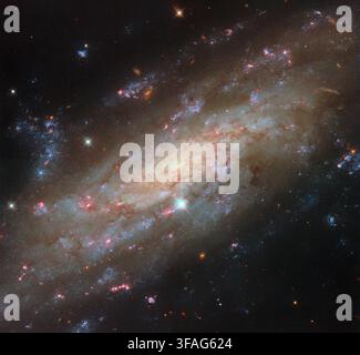 ESA Hubble-Bild des Monats der Sternentstehungsgalaxie NGC 3137 im Sternbild Antlia Stockfoto