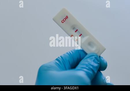 Blutprobe eines Patienten mit positivem Befund für CCHF. Stockfoto
