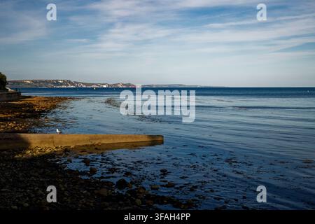 Eine Möwe sitzt auf einer Beton-Promenade an einem felsigen Strand, während sanfte Wellen von einem blauen Meer herüberplätschern, Nothe Gardens, Weymouth, Dorset, England. Stockfoto