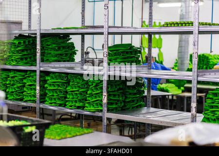 Gummi-Wärmepads auf Regalen Stockfoto